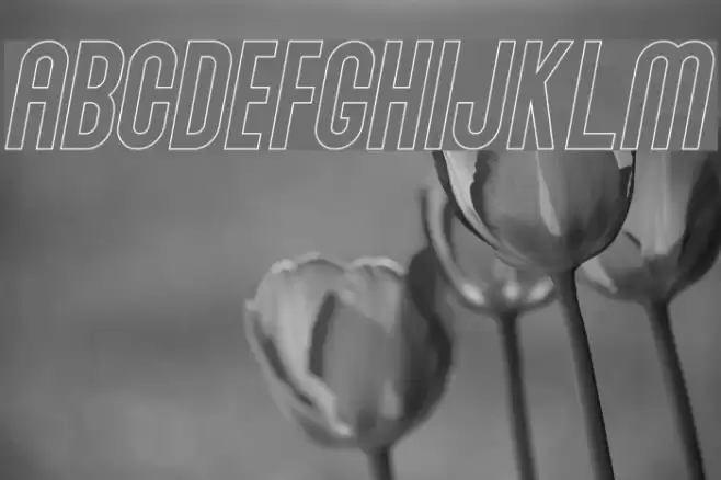 Abraham Outline Italic Outline Italic Polices examples