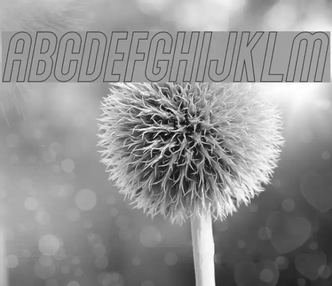 Abraham Outline Italic Outline Italic Polices examples