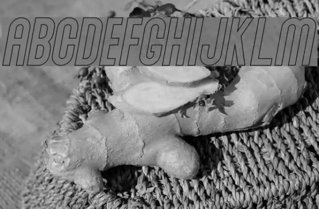 Abraham Outline Italic Outline Italic Polices examples