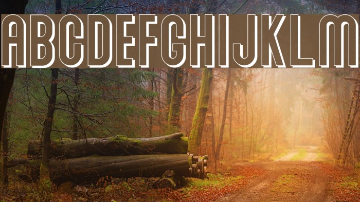 Abraham Shadow Shadow Font examples