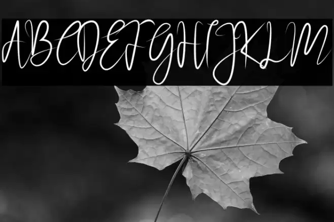 Abraham Font examples