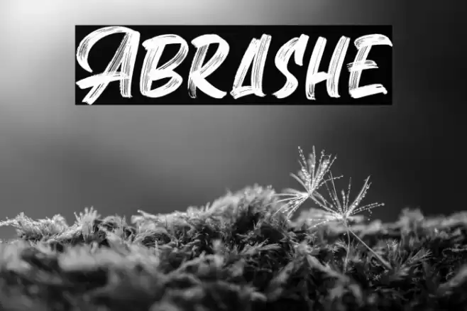 Abrashe Font examples