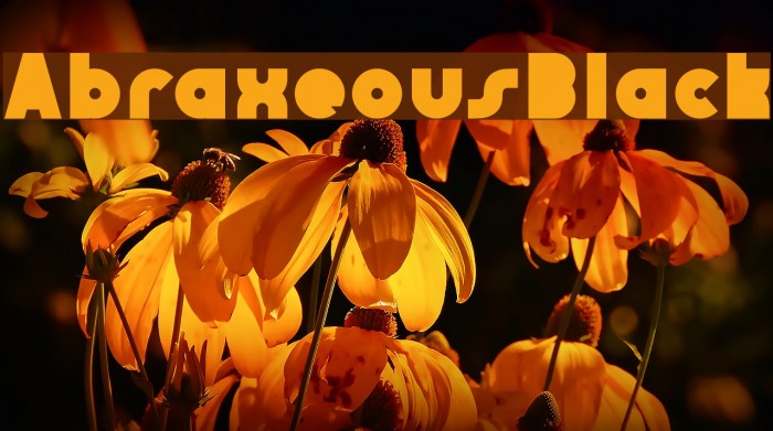 AbraxeousBlack Font examples