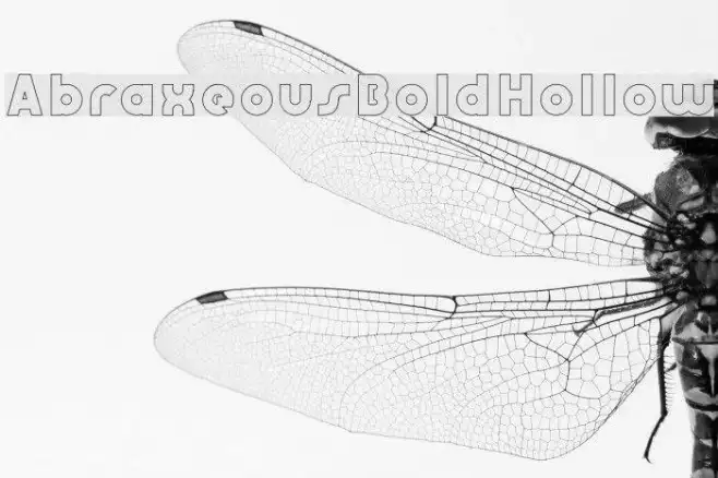 AbraxeousBoldHollow Example 1