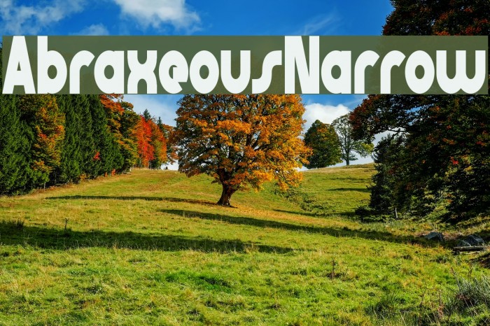AbraxeousNarrow Font examples