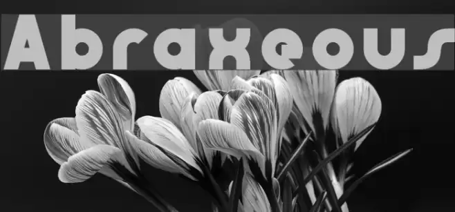Abraxeous Font examples