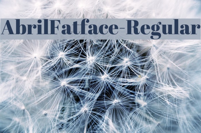AbrilFatface-Regular Font examples