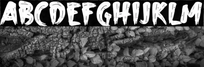 Abrushow Font examples