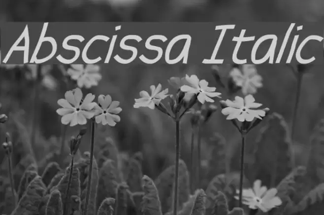Abscissa Italic フォント examples