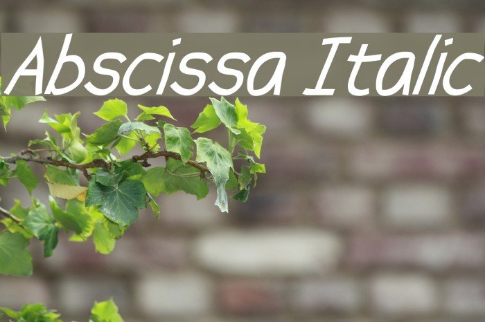Abscissa Italic フォント examples