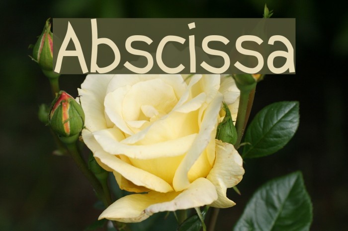 abscissa example
