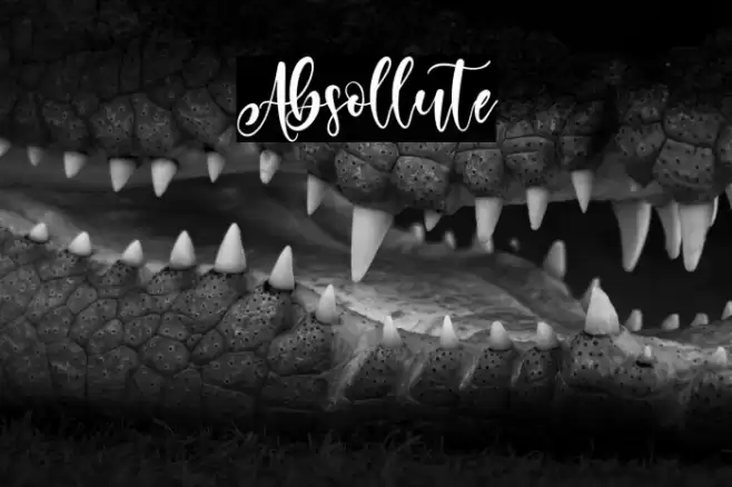 Absollute Font examples