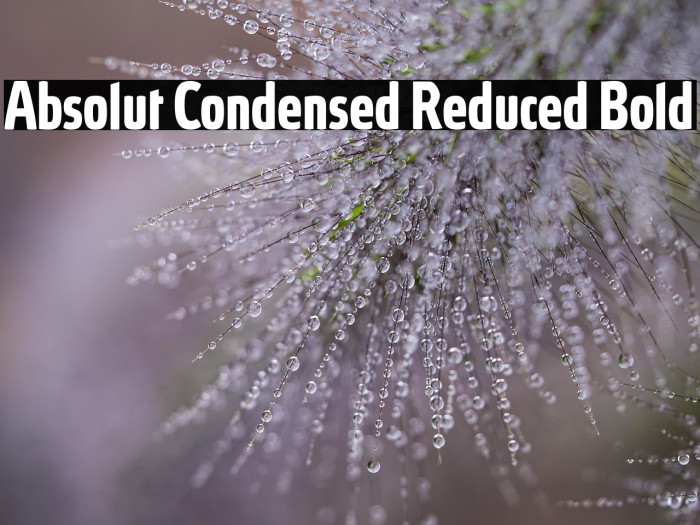 Absolut Condensed Reduced Bold Example 1