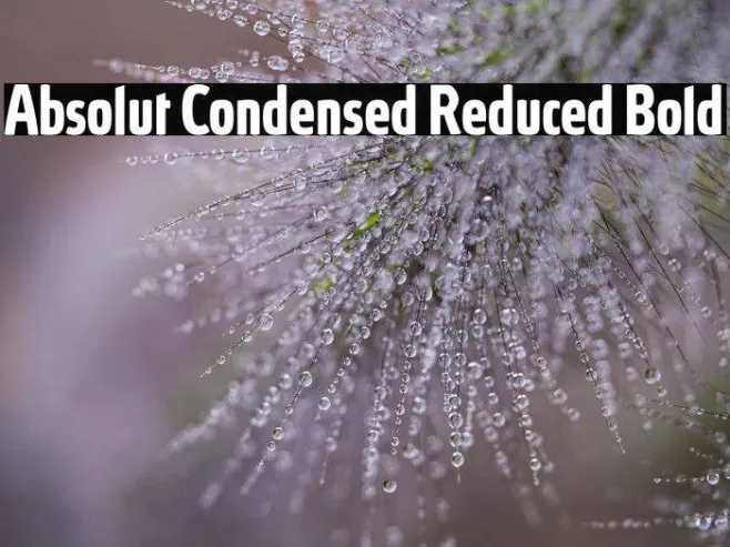 Absolut Condensed Reduced Bold Example 1