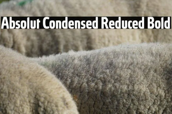 Absolut Condensed Reduced Bold Example 2