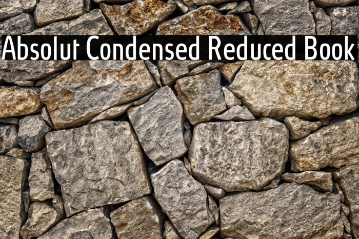 Absolut Condensed Reduced Book Example 3