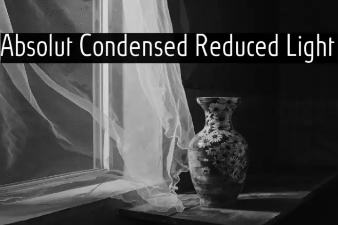 Absolut Condensed Reduced Light Font examples