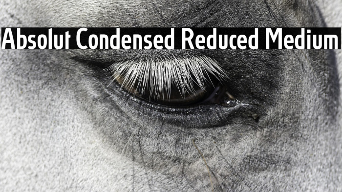 Absolut Condensed Reduced Medium Example 2