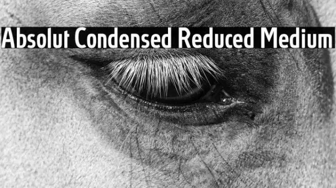 Absolut Condensed Reduced Medium Example 2