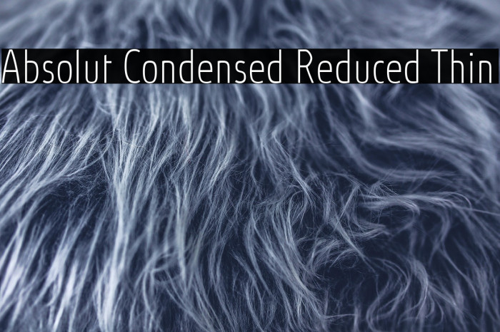 Absolut Condensed Reduced Thin Example 3