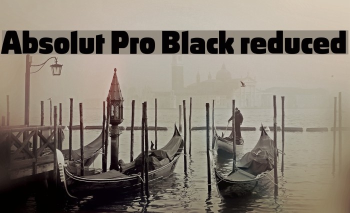 Absolut Pro Black reduced Font examples