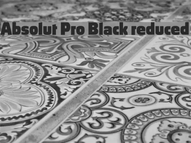 Absolut Pro Black reduced Fonte examples