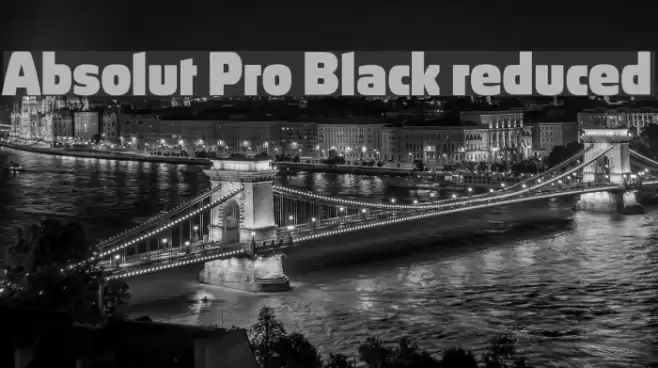 Absolut Pro Black reduced Fonte examples