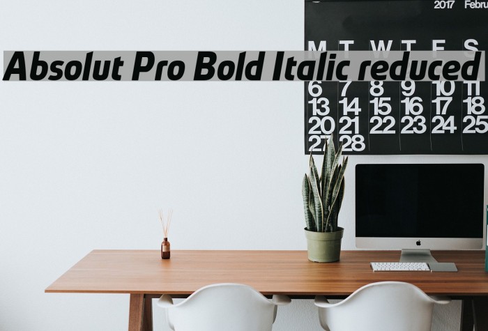 Absolut Pro Bold Italic reduced Font examples