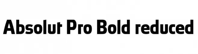 Absolut Pro Bold reduced  baixar fontes gratis