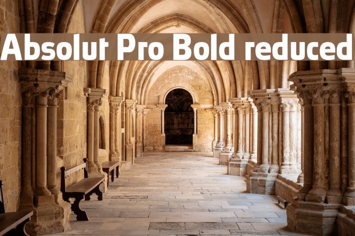 Absolut Pro Bold reduced Font examples