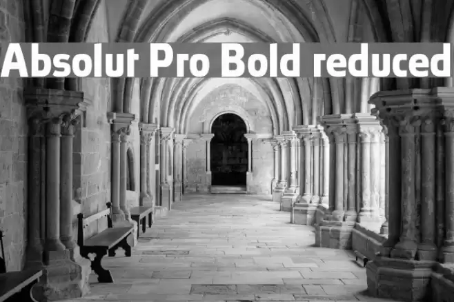 Absolut Pro Bold reduced Font examples
