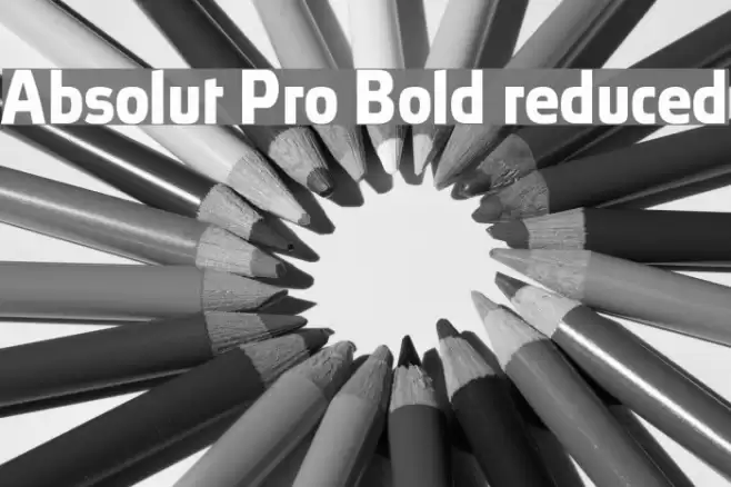 Absolut Pro Bold reduced Font examples