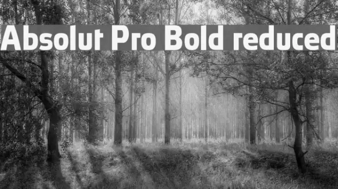 Absolut Pro Bold reduced Font examples