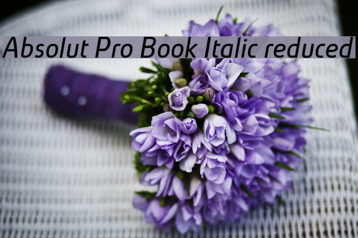 Absolut Pro Book Italic reduced Font examples