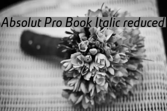 Absolut Pro Book Italic reduced خط examples