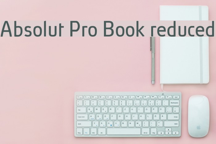 Absolut Pro Book reduced Font examples