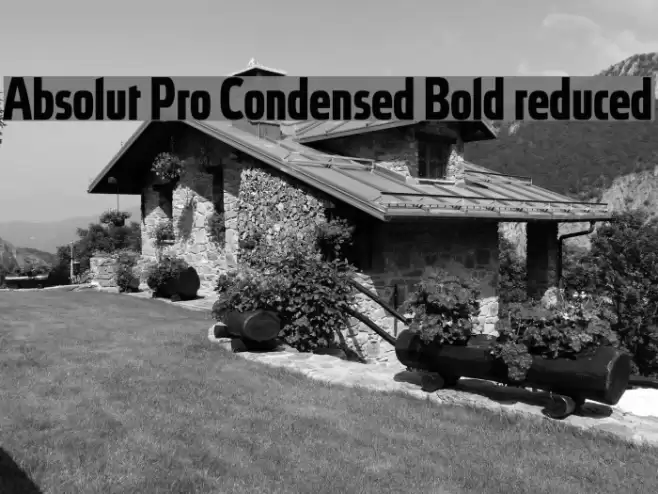 Absolut Pro Condensed Bold reduced Font examples