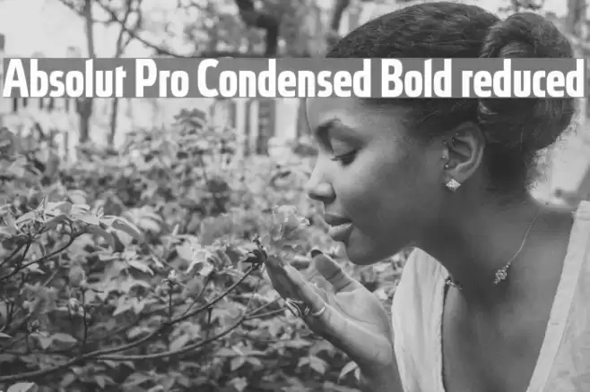 Absolut Pro Condensed Bold reduced Font examples