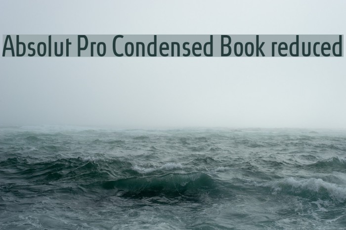 Absolut Pro Condensed Book reduced Font examples
