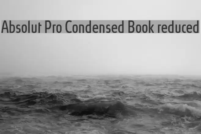 Absolut Pro Condensed Book reduced Font examples