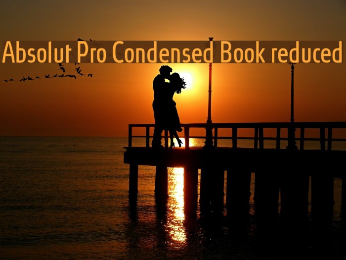 Absolut Pro Condensed Book reduced Font examples
