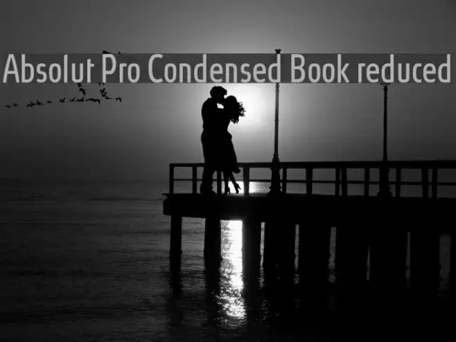 Absolut Pro Condensed Book reduced Font examples