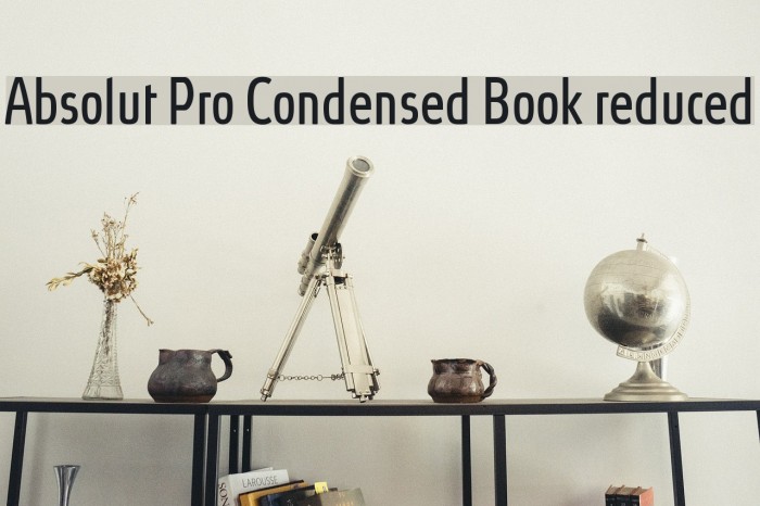 Absolut Pro Condensed Book reduced Font examples