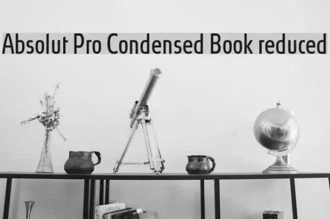 Absolut Pro Condensed Book reduced Font examples