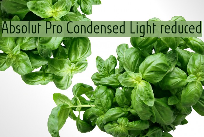 Absolut Pro Condensed Light reduced Font examples