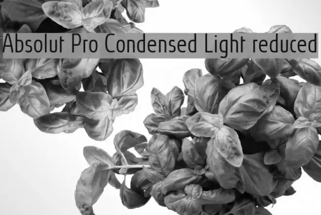 Absolut Pro Condensed Light reduced फ़ॉन्ट examples