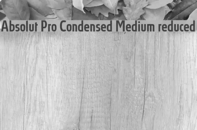 Absolut Pro Condensed Medium reduced Fuentes examples