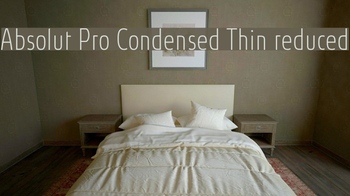 Absolut Pro Condensed Thin reduced Font examples
