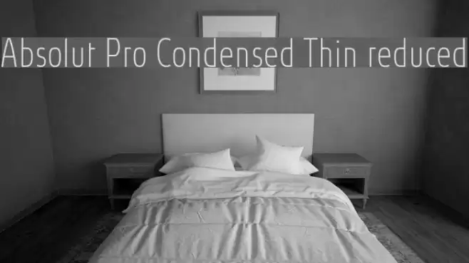 Absolut Pro Condensed Thin reduced フォント examples