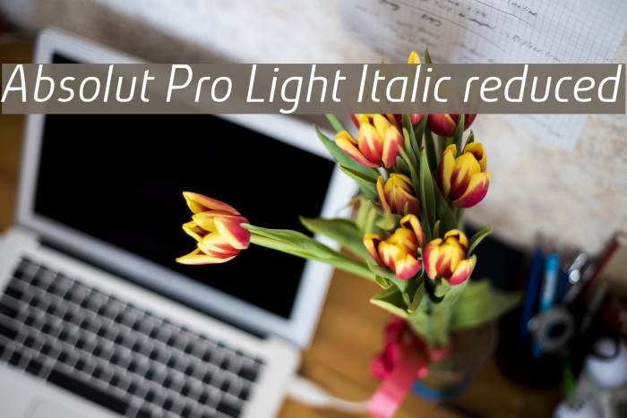 Absolut Pro Light Italic reduced Font examples